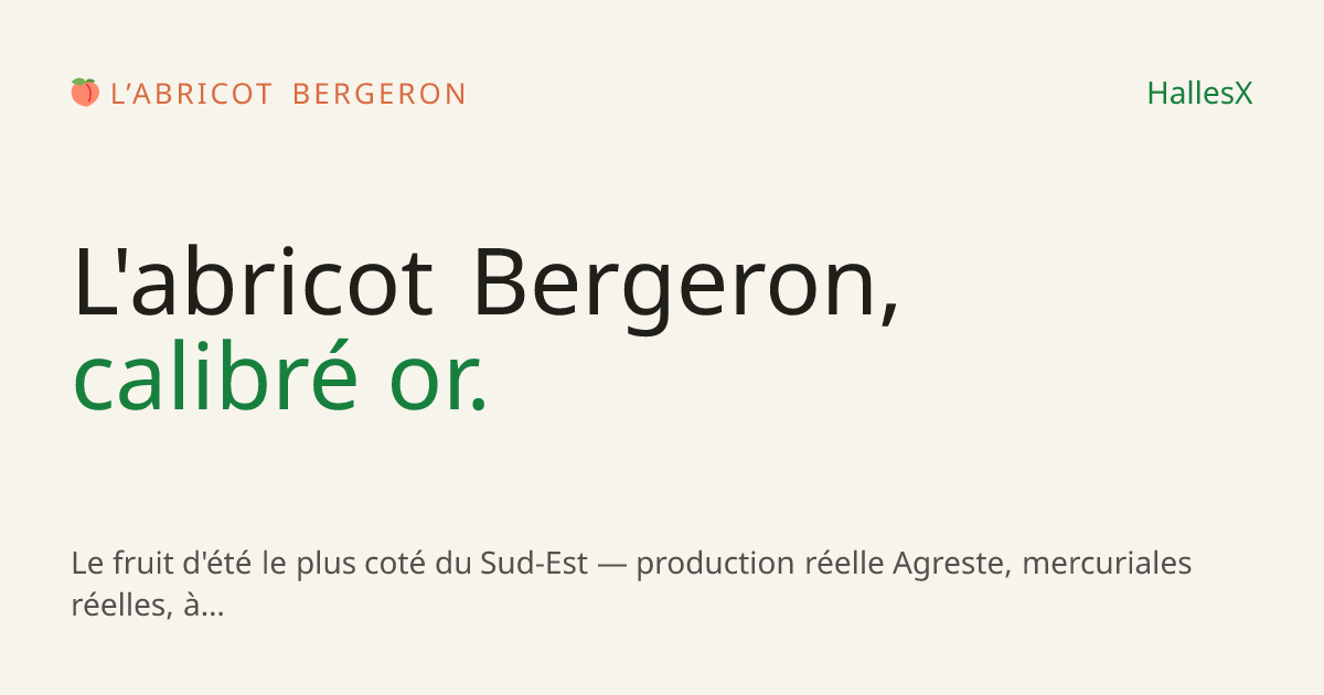 Vignette OG — 🍑 L’abricot Bergeron