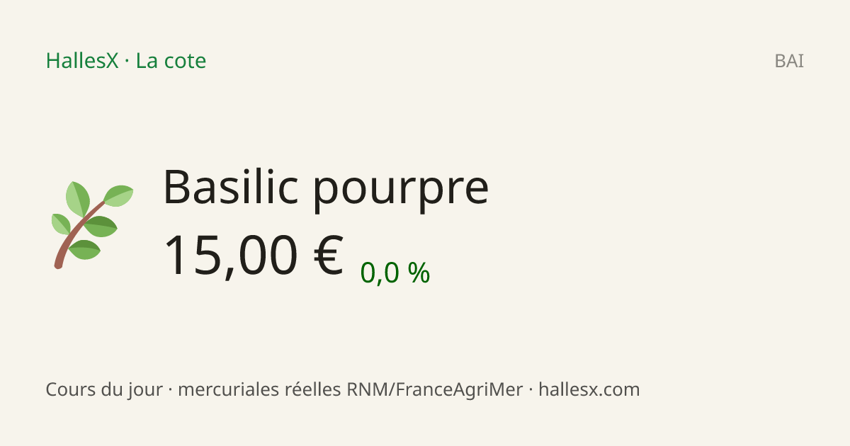 Vignette OG — 🌿 Basilic pourpre