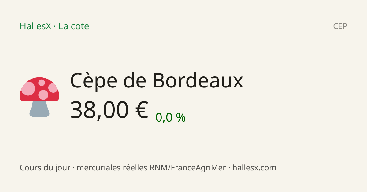 Vignette OG — 🍄 Cèpe de Bordeaux