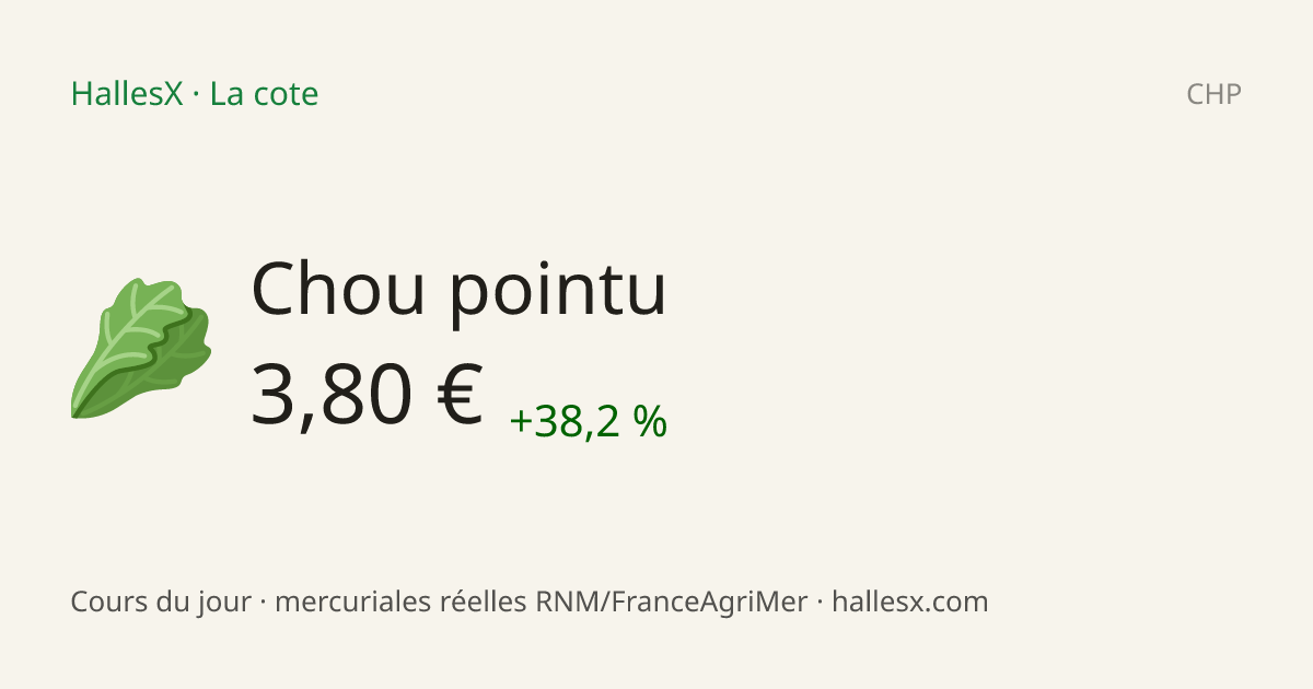 Vignette OG — 🥬 Chou pointu