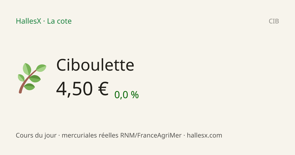 Vignette OG — 🌿 Ciboulette