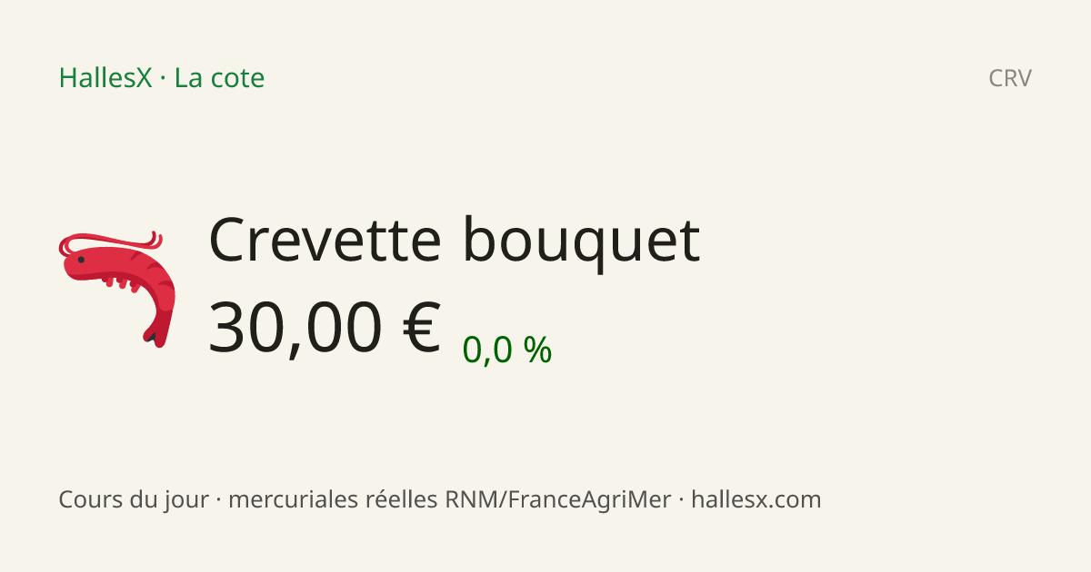 Vignette OG — 🦐 Crevette bouquet