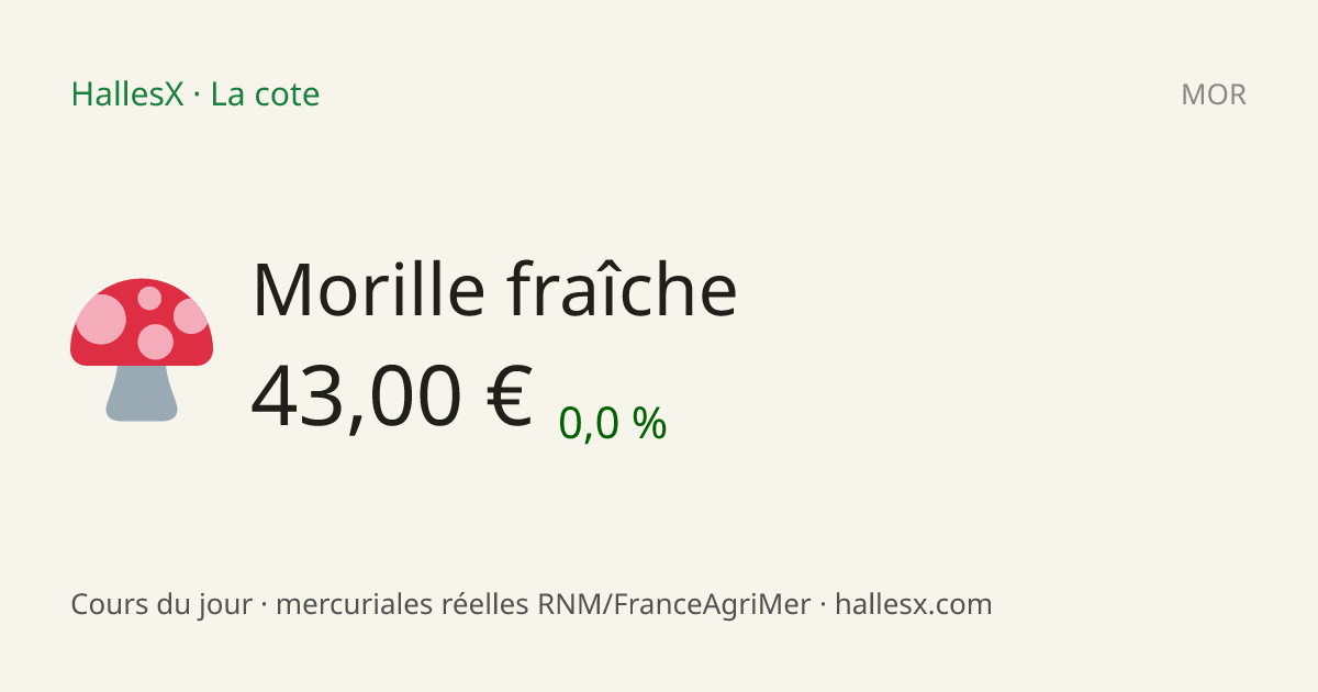 Vignette OG — 🍄 Morille fraîche