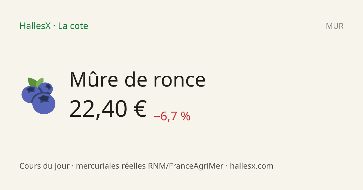 Vignette OG — 🫐 Mûre de ronce
