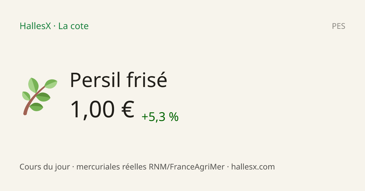 Vignette OG — 🌿 Persil frisé