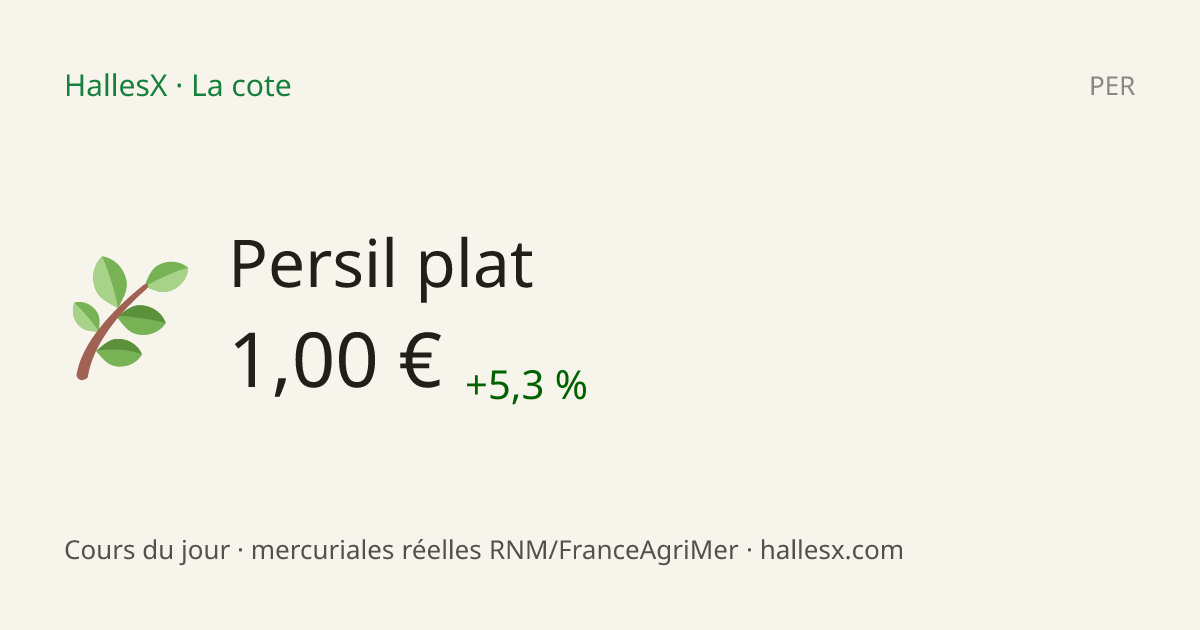 Vignette OG — 🌿 Persil plat